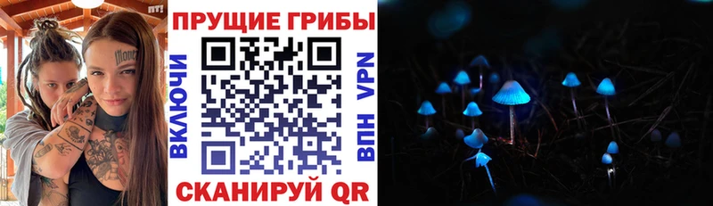 Псилоцибиновые грибы Psilocybe  Гаврилов Посад 